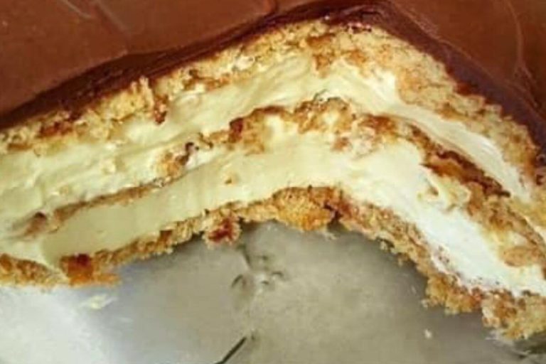 NO BAKE CHOCOLATE ECLAIR CAKE