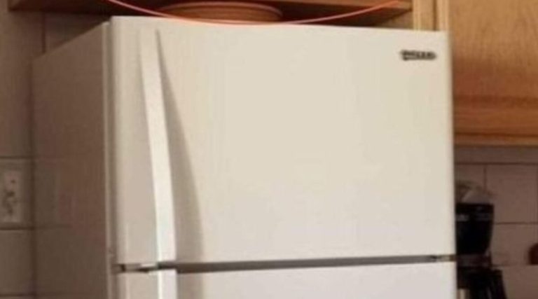 If You Have These Cupboards Above Your Fridge, You Better Know What They’re Actually For