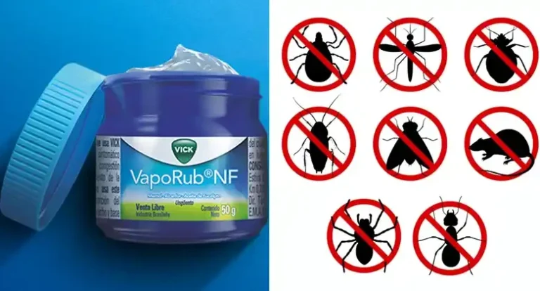Repel Pests Naturally Using Mentholated Ointment: A Powerful Household Trick