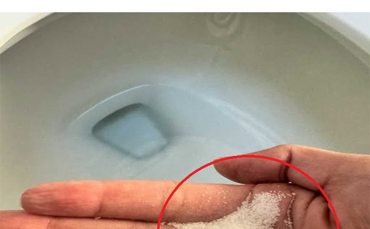 Put salt in your toilet. Here’s why