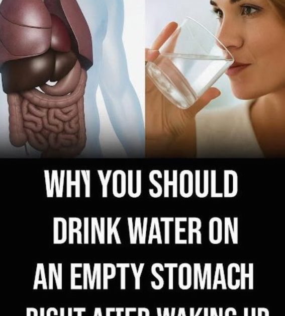 Benefits of Drinking Water on an Empty Stomach: Boost Your Health from the Start of the Day