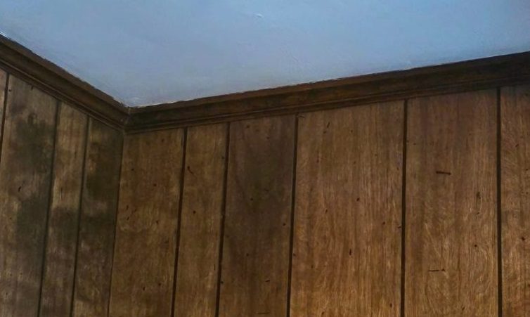 Revive Your Living Space With This Sensational Time-Travel Hack!