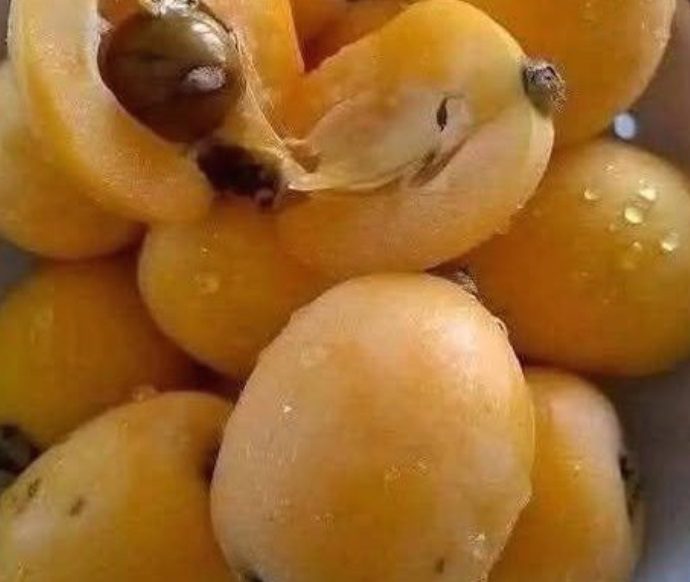 “I’ve spent my whole life searching for the name of this fruit.”
